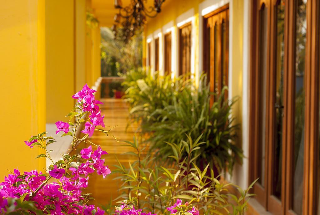 El Encanto Inn & Suites San José del Cabo Extérieur photo