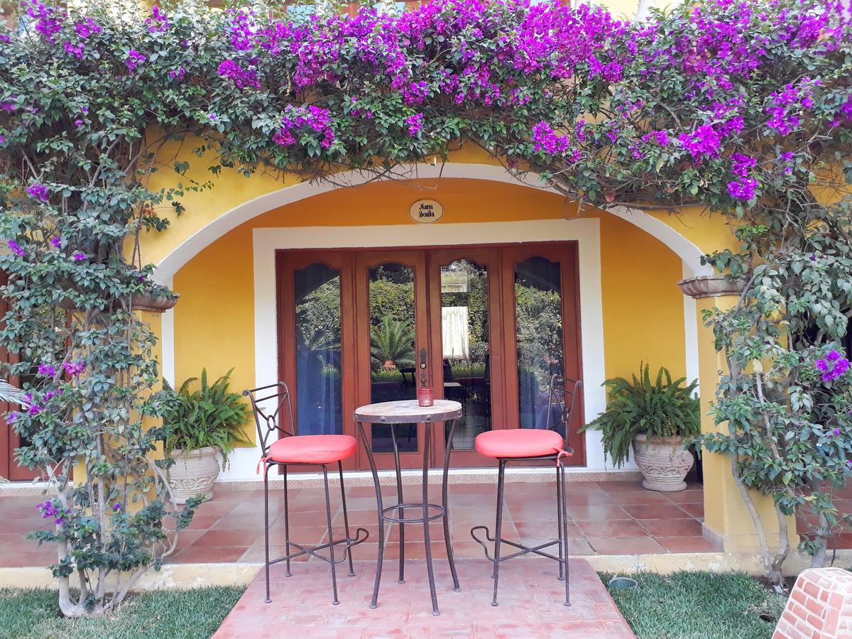 El Encanto Inn & Suites San José del Cabo Extérieur photo