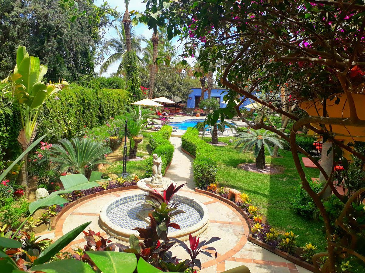 El Encanto Inn & Suites San José del Cabo Extérieur photo