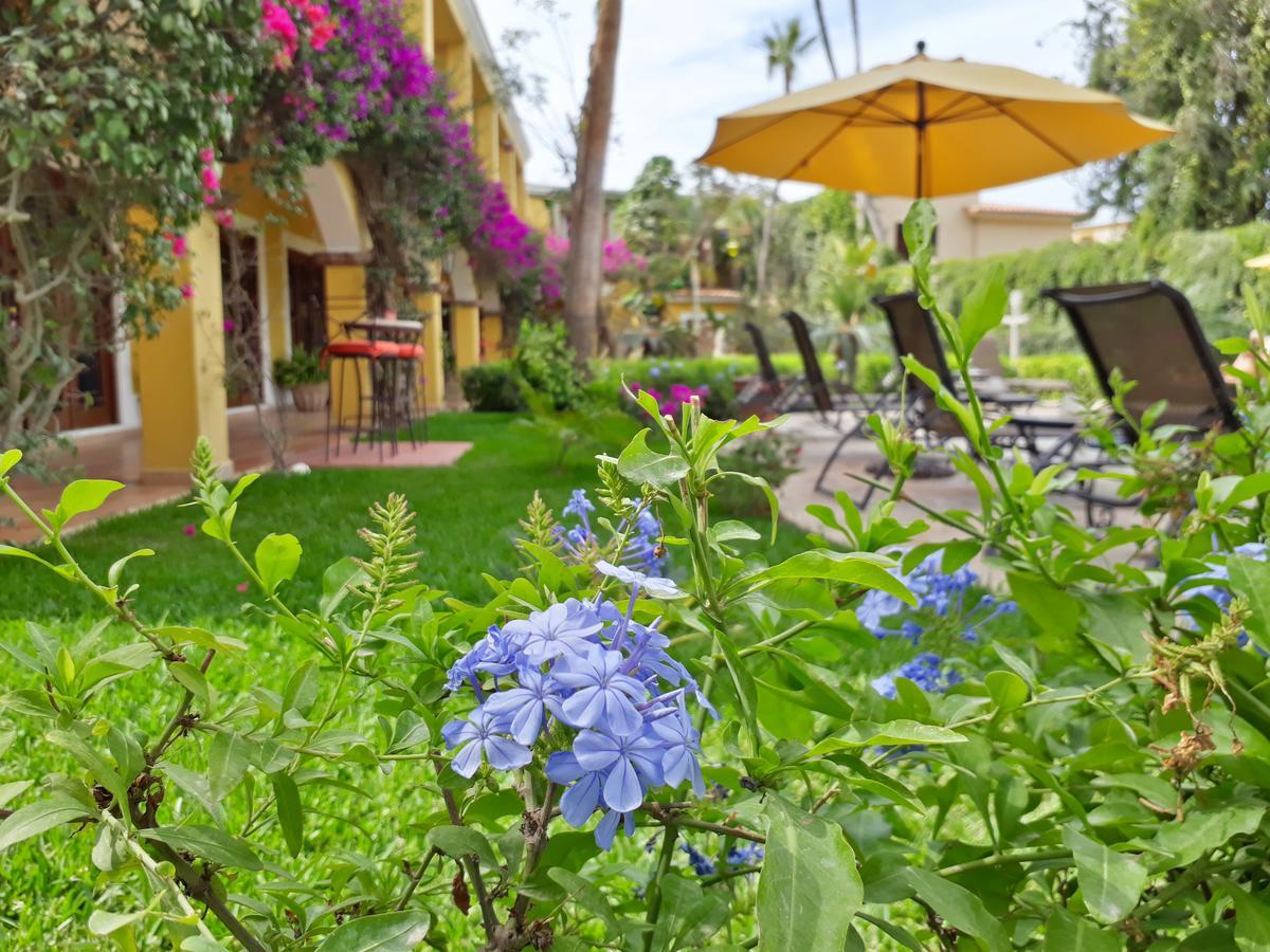 El Encanto Inn & Suites San José del Cabo Extérieur photo